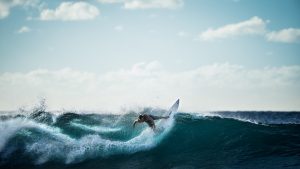 Surfing vancouver british columbia bc canada